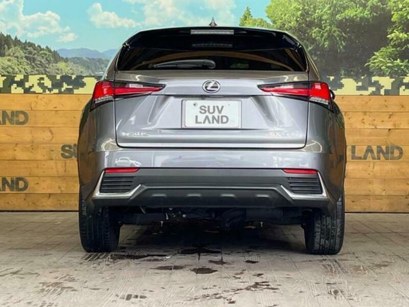 NX