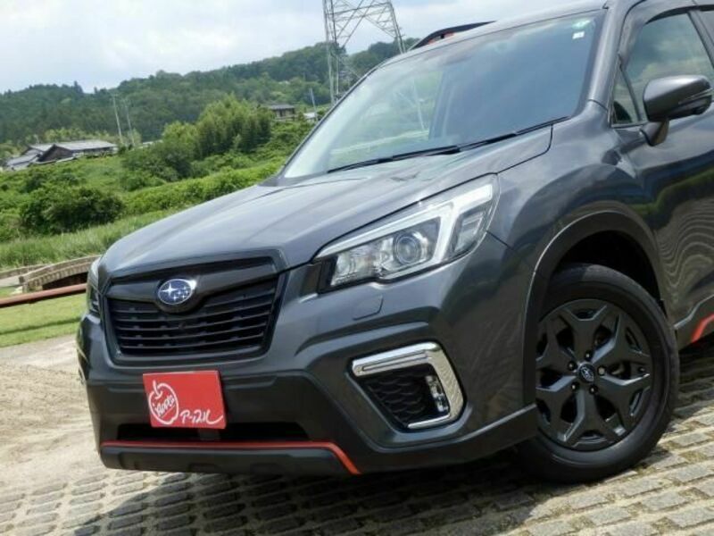 FORESTER