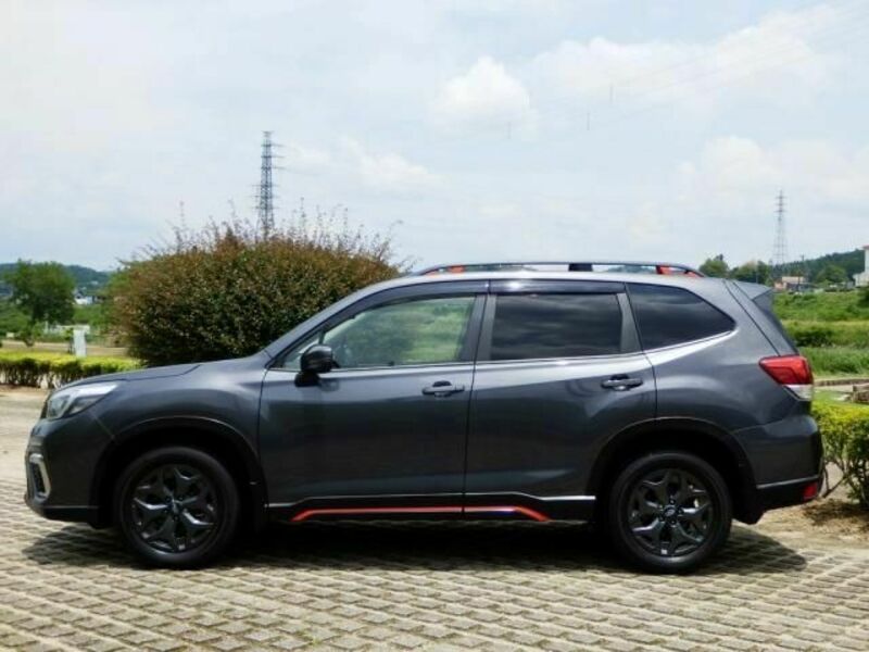 FORESTER