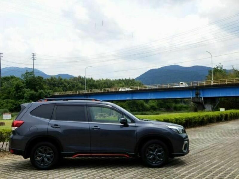 FORESTER