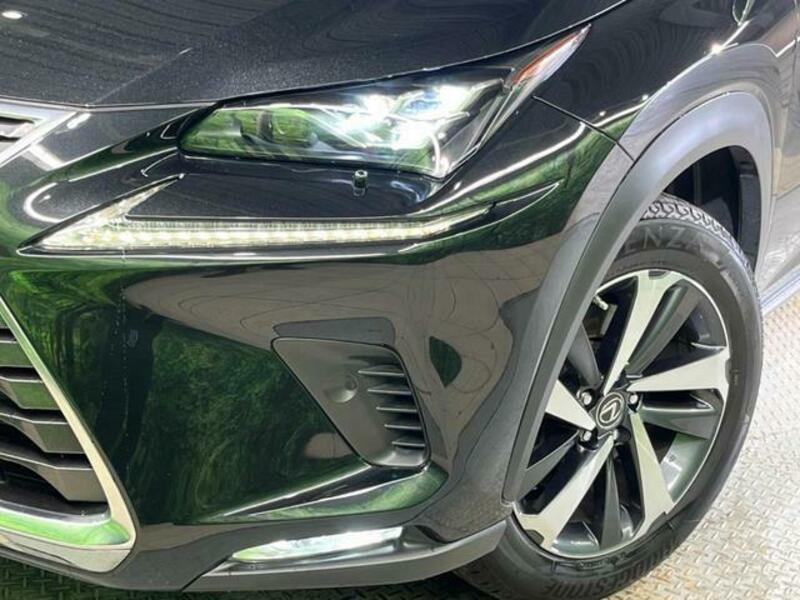 NX