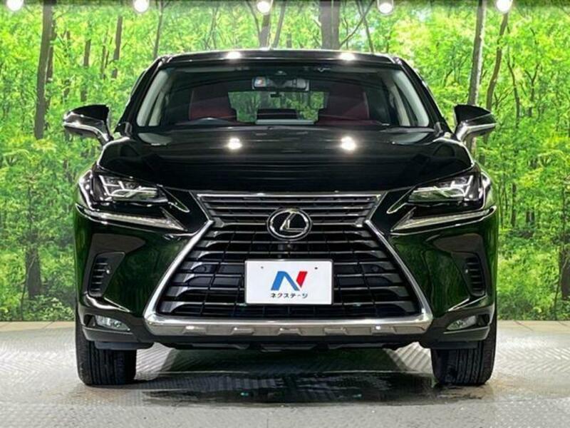 NX