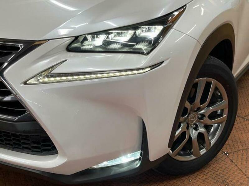 NX