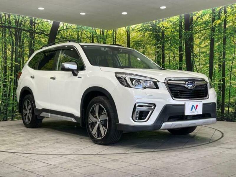 FORESTER