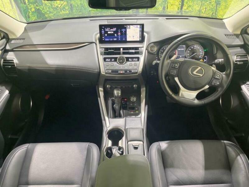 NX