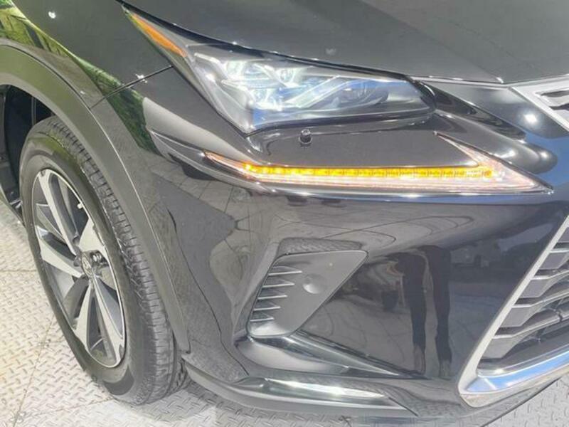NX