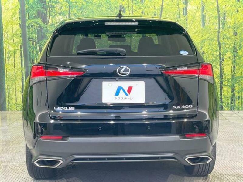 NX