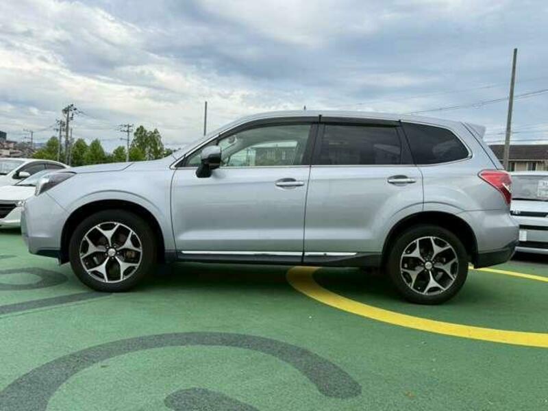 FORESTER