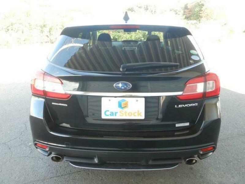 LEVORG