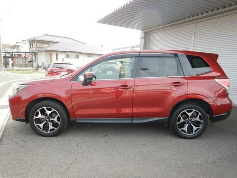 FORESTER