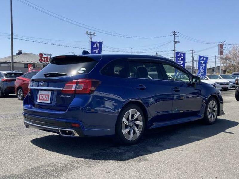 LEVORG