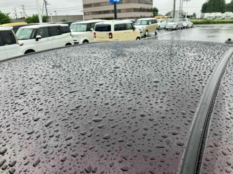 PASSO