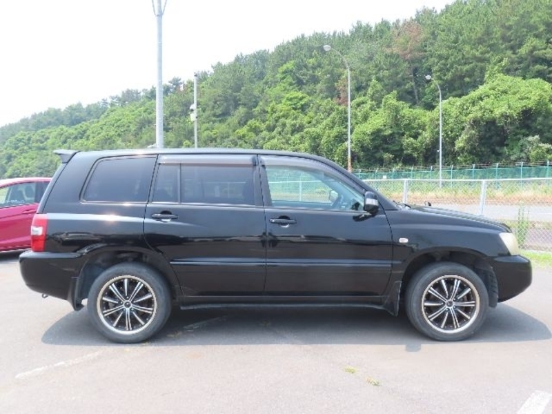 KLUGER L
