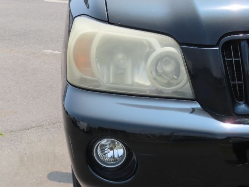 KLUGER L