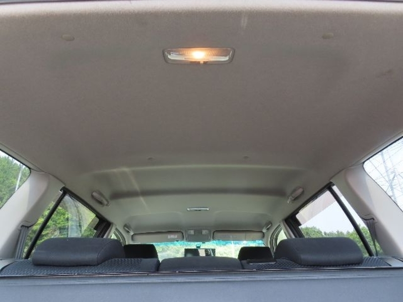 KLUGER L