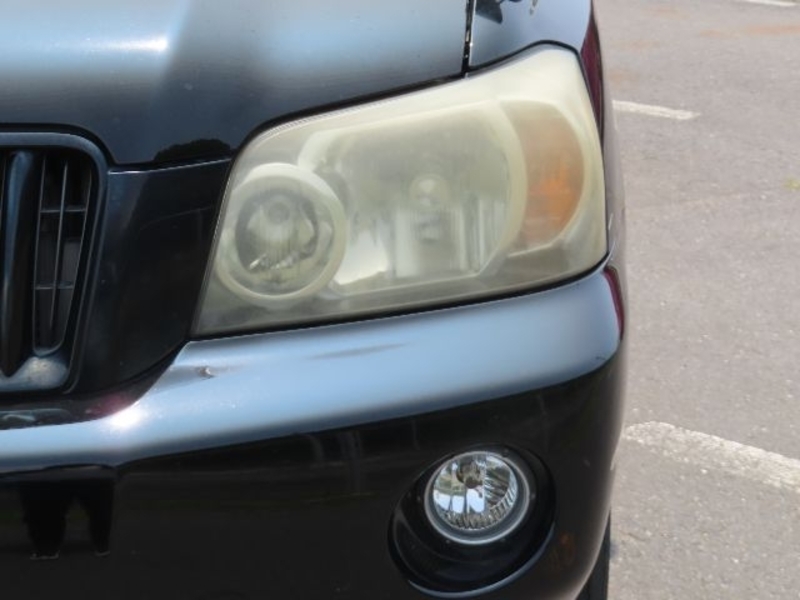 KLUGER L