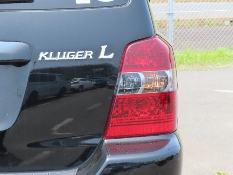 KLUGER L