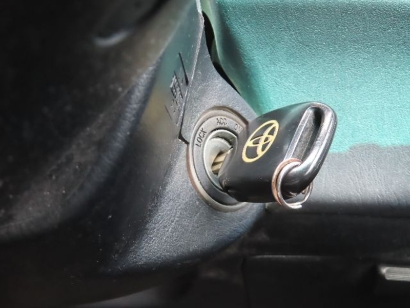 KLUGER L