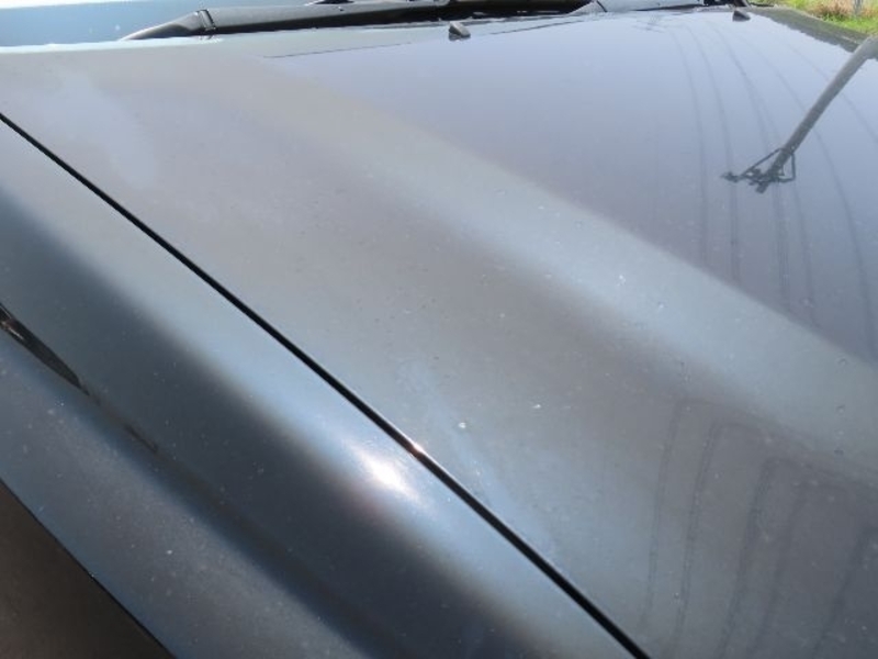 KLUGER L