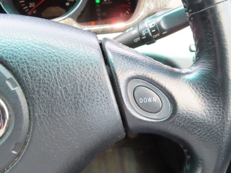 KLUGER L