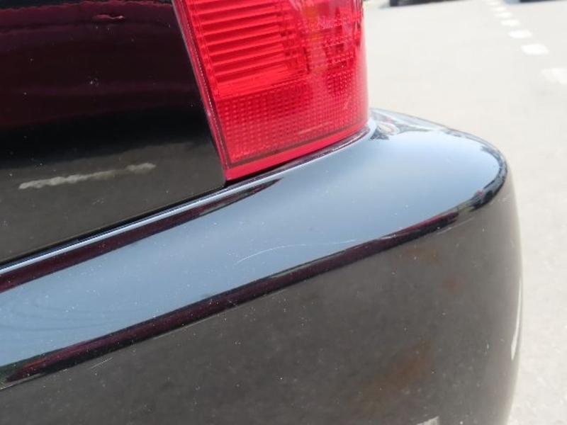 KLUGER L