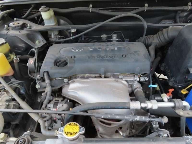 KLUGER L