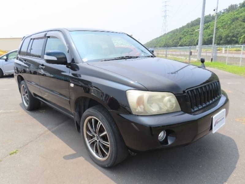 KLUGER L
