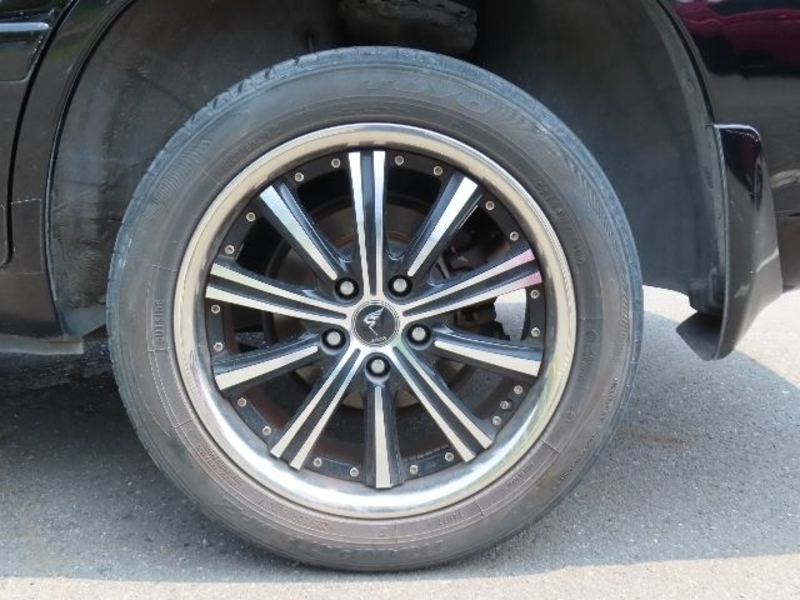 KLUGER L