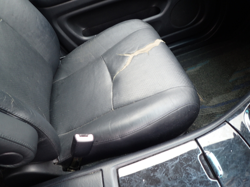 KLUGER L