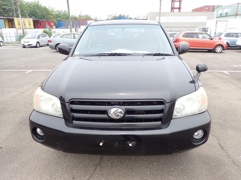 KLUGER L