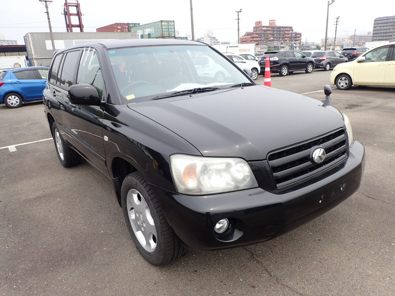 KLUGER L