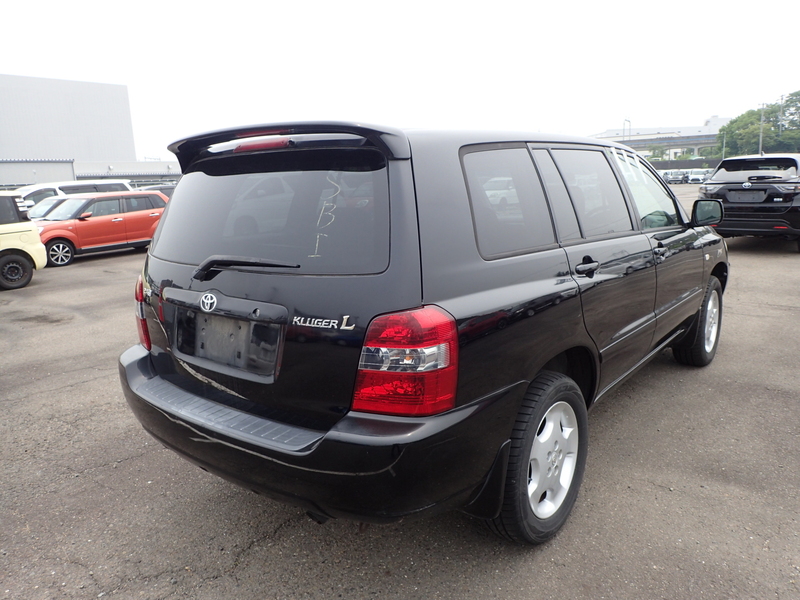KLUGER L