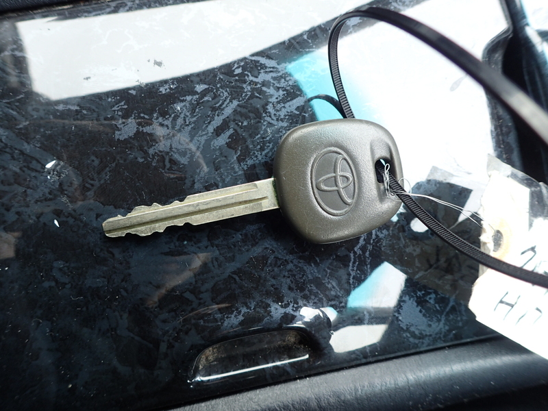 KLUGER L