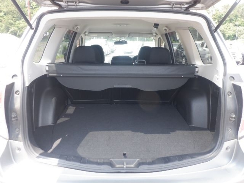 FORESTER