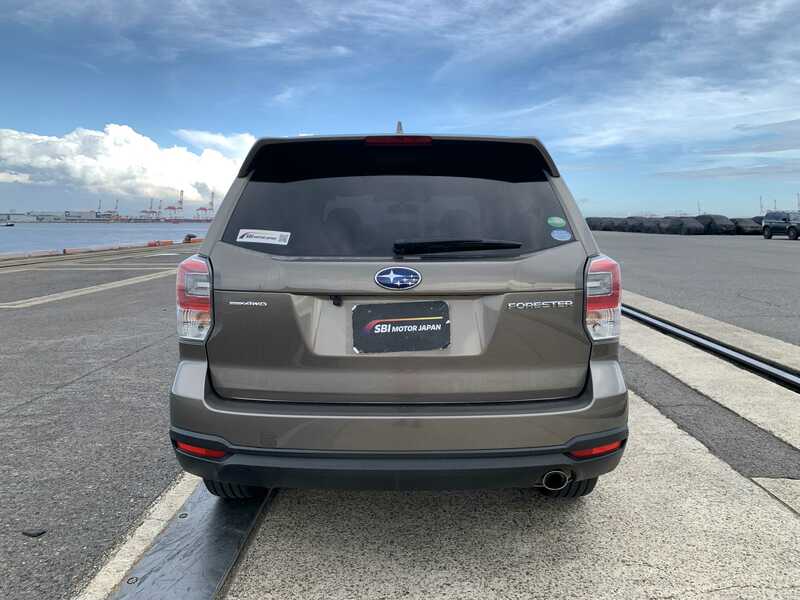 FORESTER