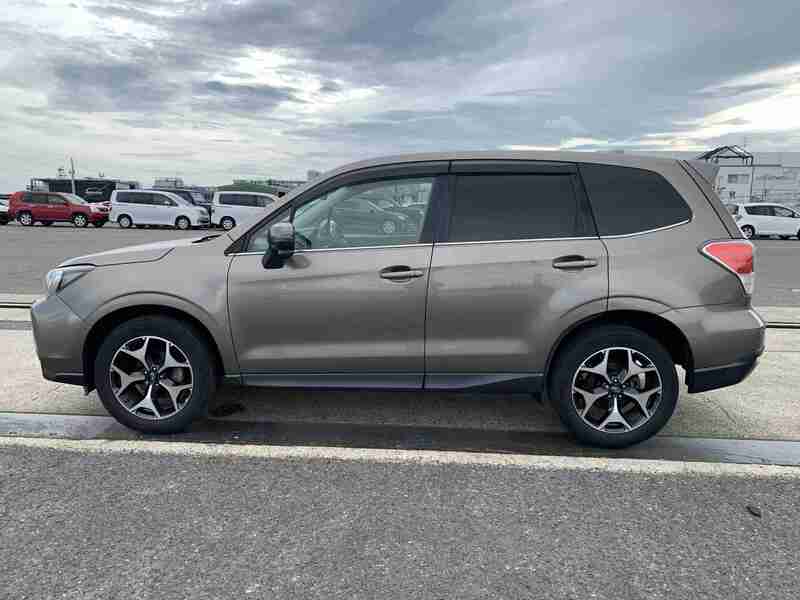 FORESTER
