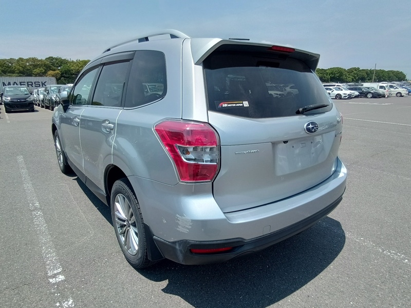 FORESTER