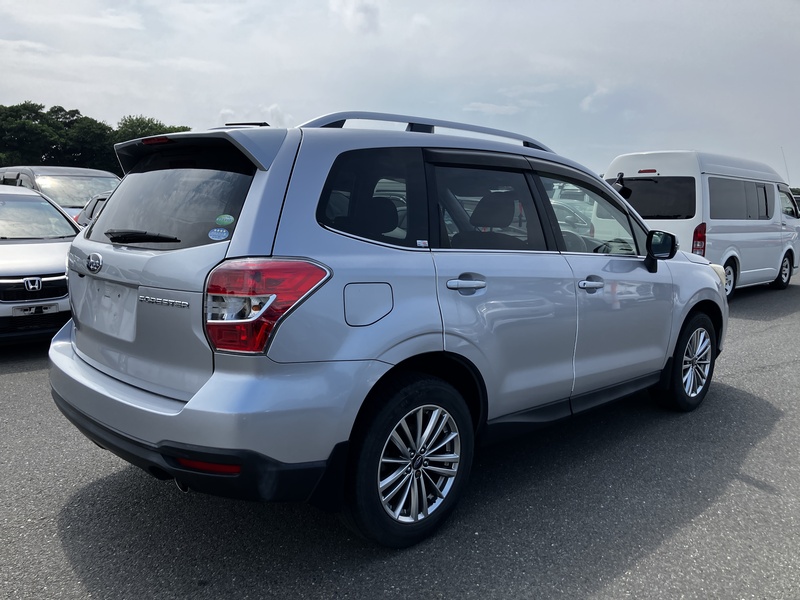 FORESTER