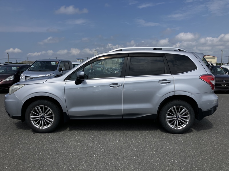 FORESTER