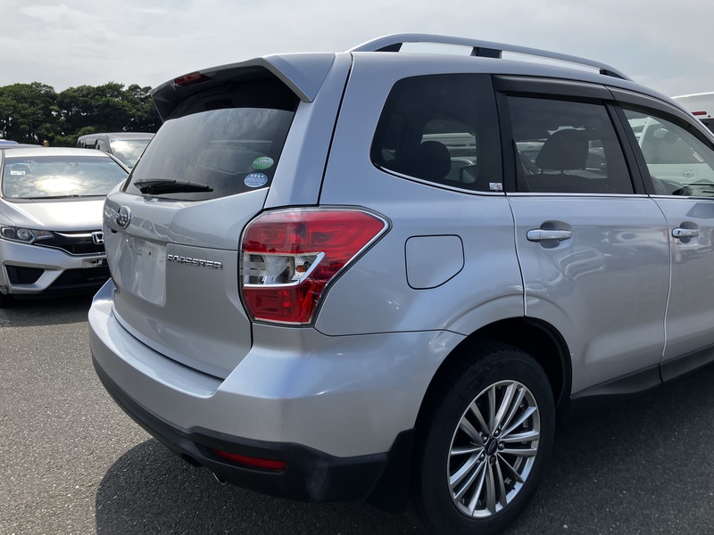 FORESTER