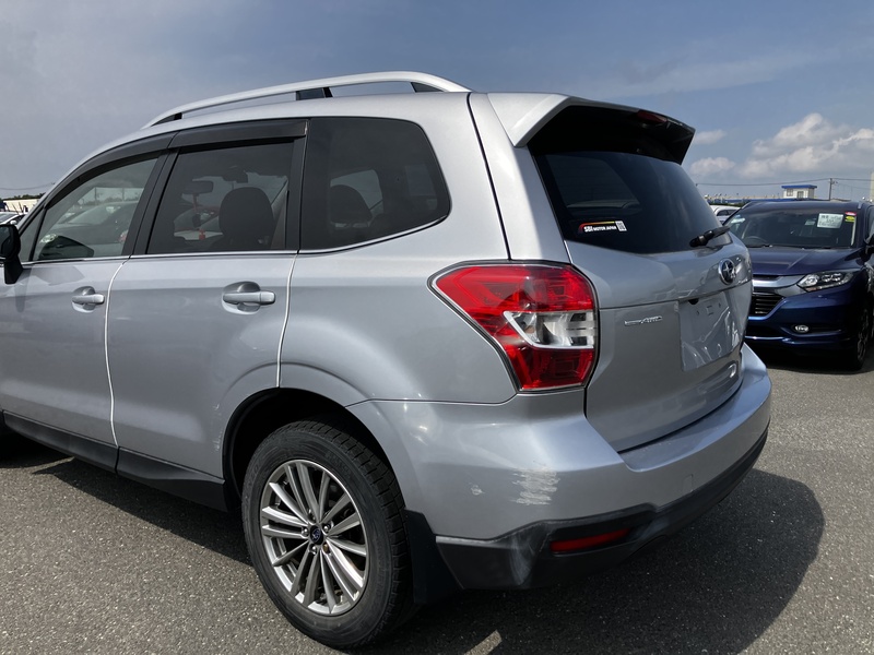 FORESTER