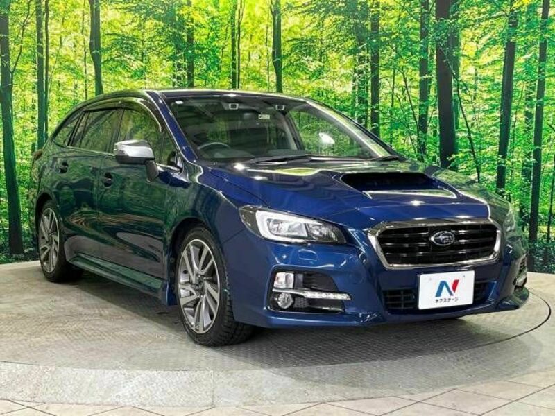 LEVORG