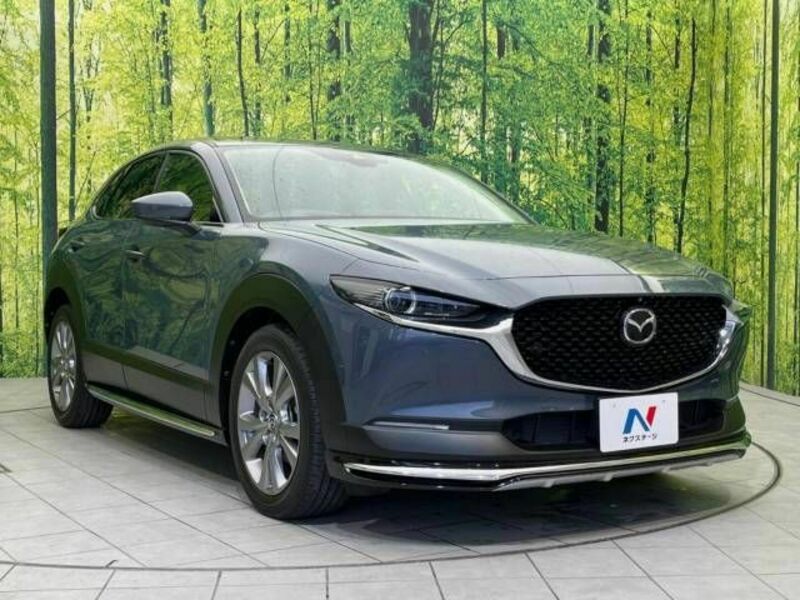 CX-30