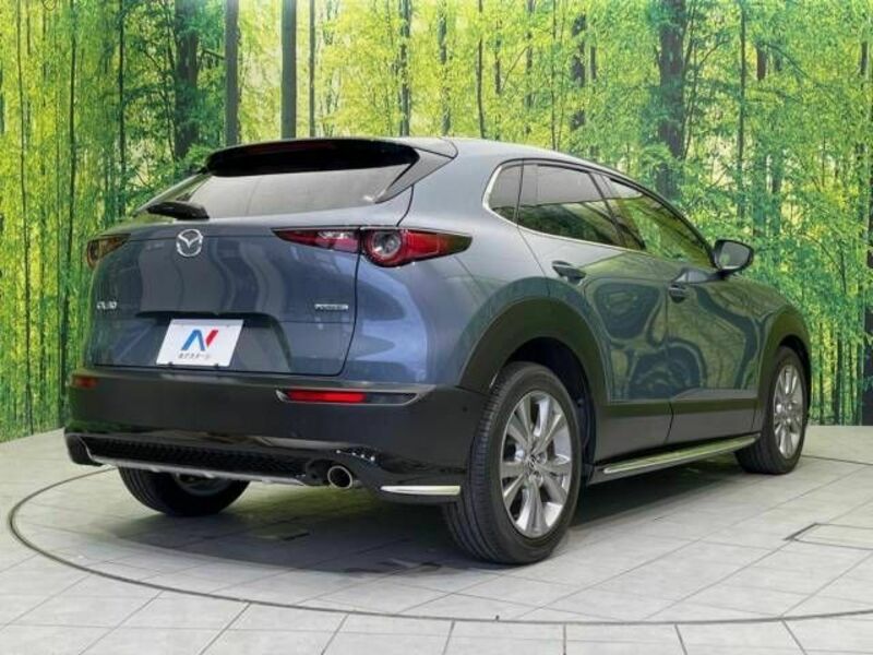 CX-30