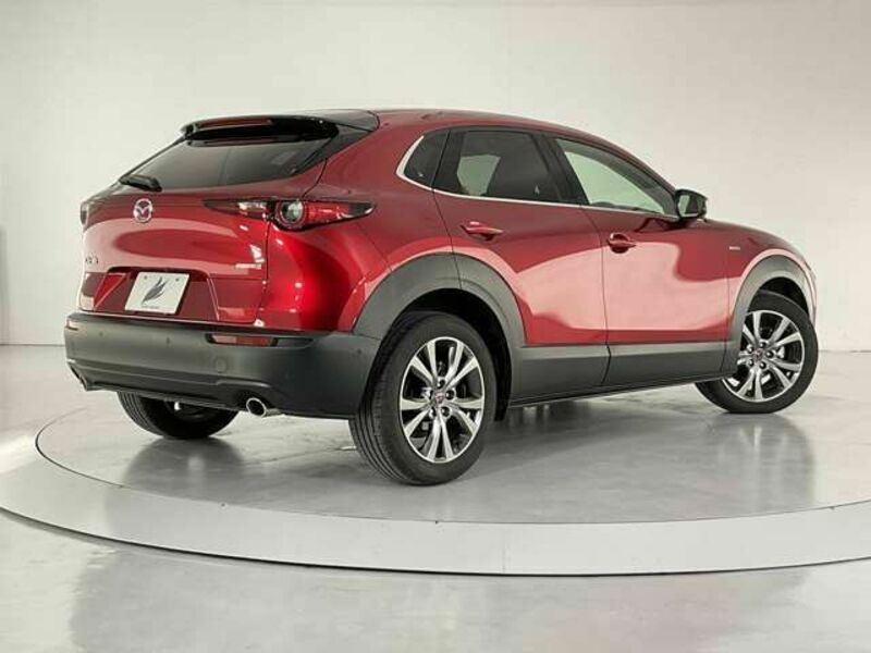 CX-30