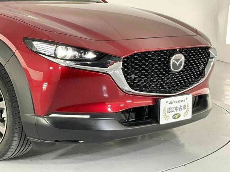CX-30