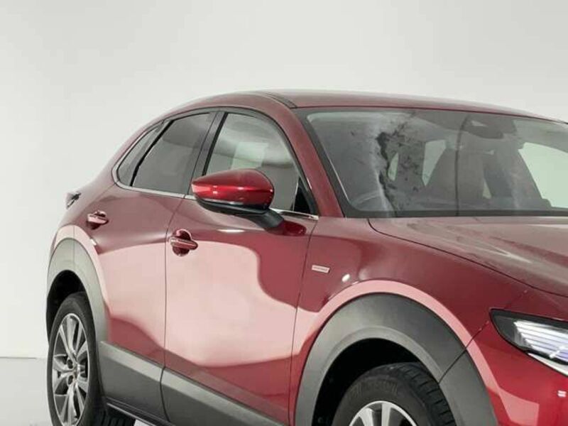 CX-30