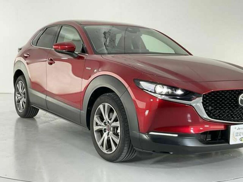 CX-30