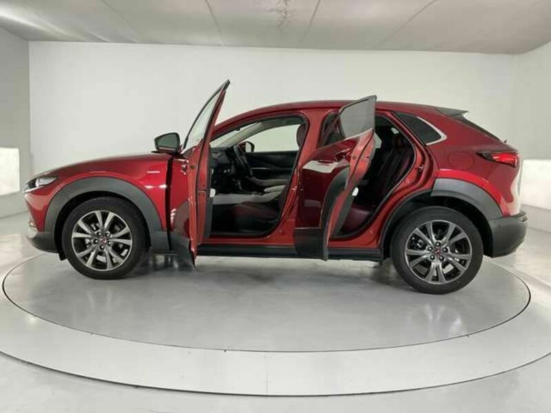 CX-30