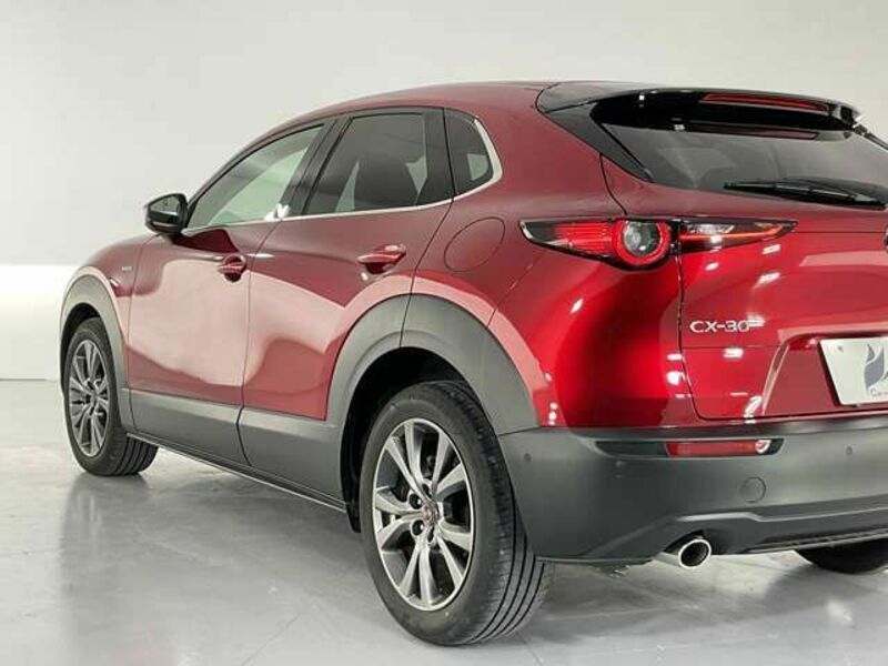 CX-30